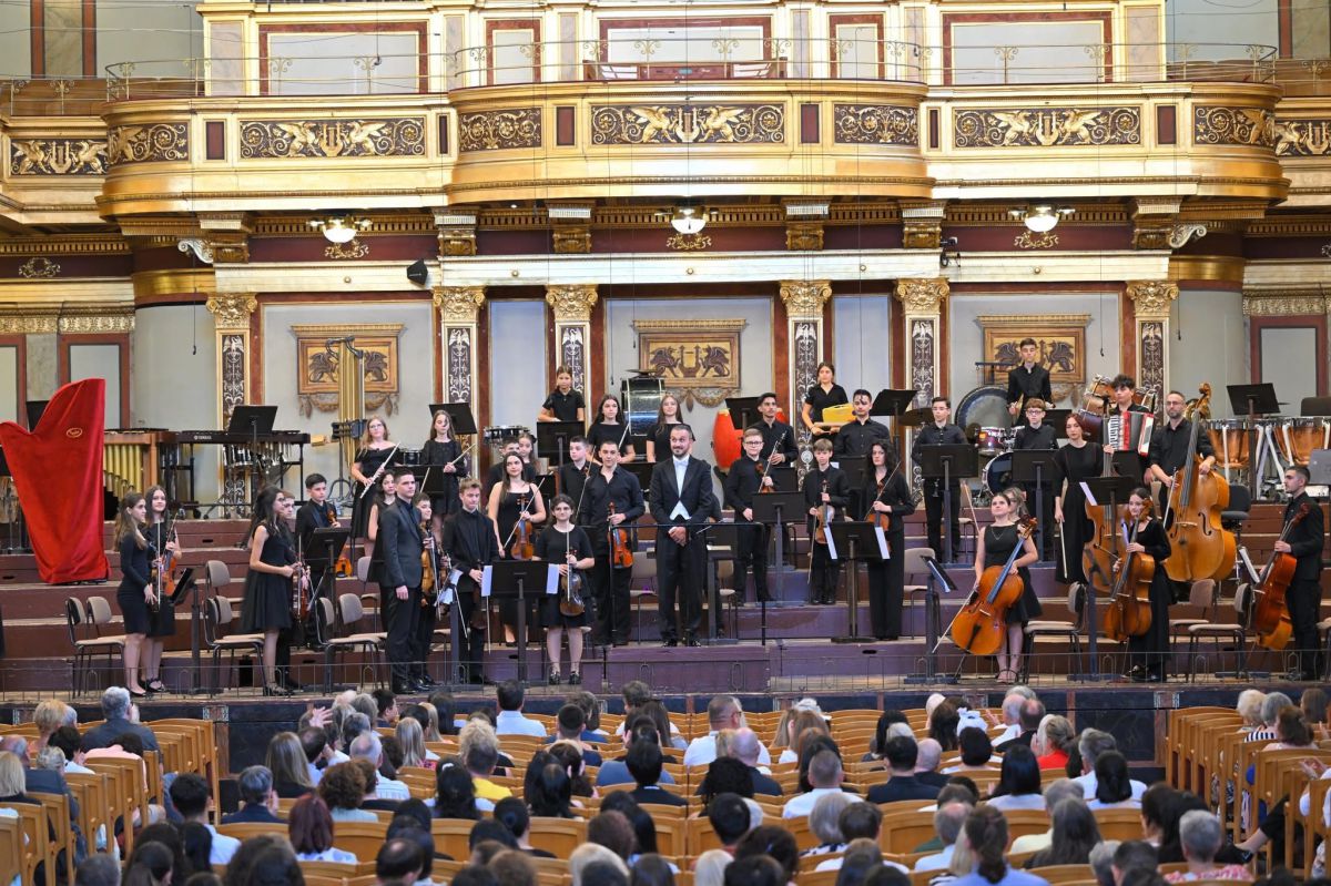 Orkestra Amadeus