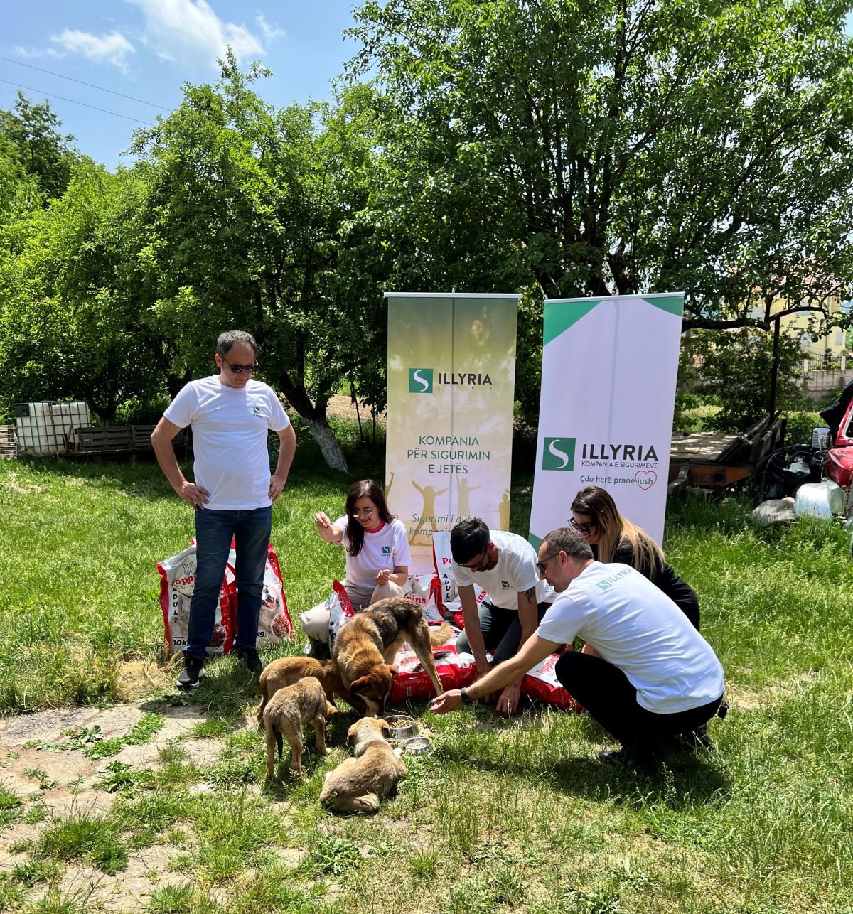Aktiviteti me qent endacak